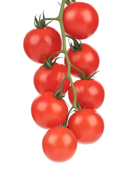 Tomates cherry — Foto de Stock