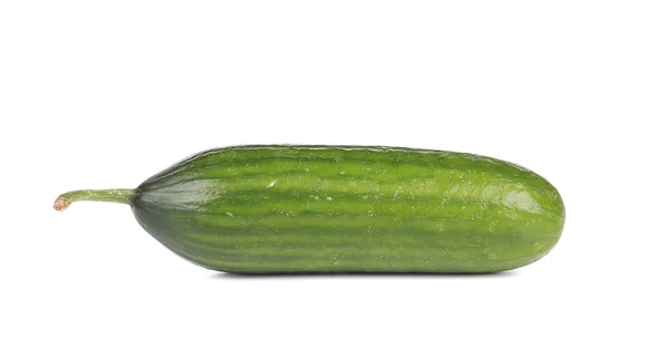 Close up of cucumber — Stock Photo, Image