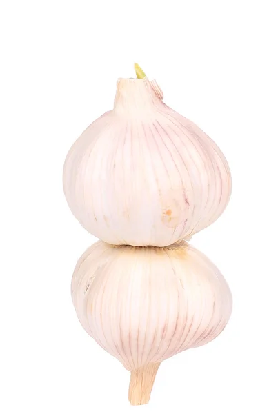 Two Heads of garlic — Stock Photo, Image