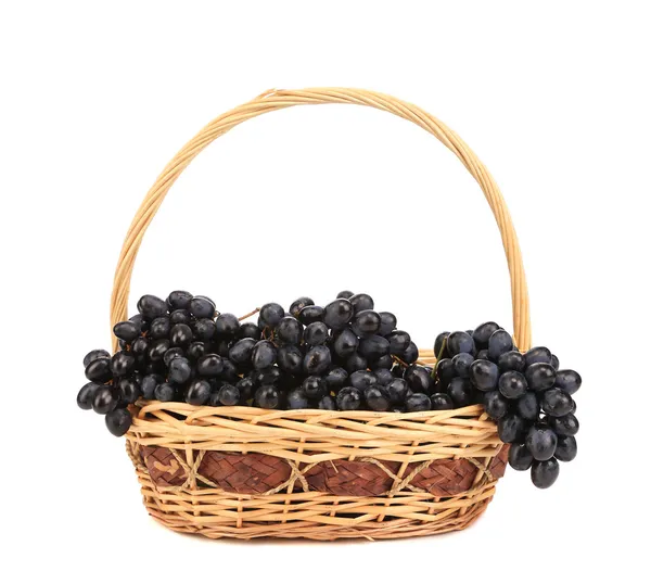 Raisins mûrs noirs dans le panier — Photo