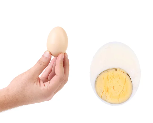 Hand holding an egg. — Stock Photo, Image