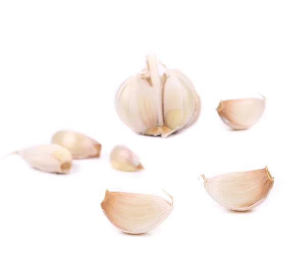 Garlic on a white — Stock Photo, Image