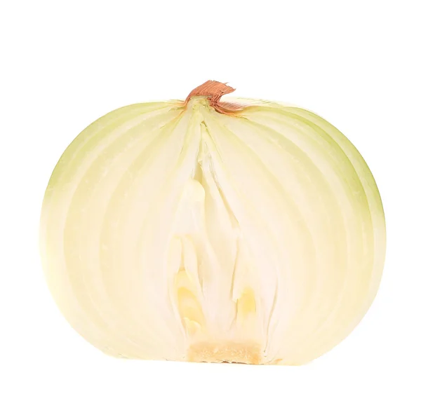 Fresh sliced onion. — Stock Photo, Image