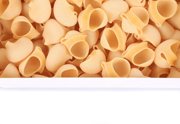 Pâtes Lumaconi pour fond . — Photo