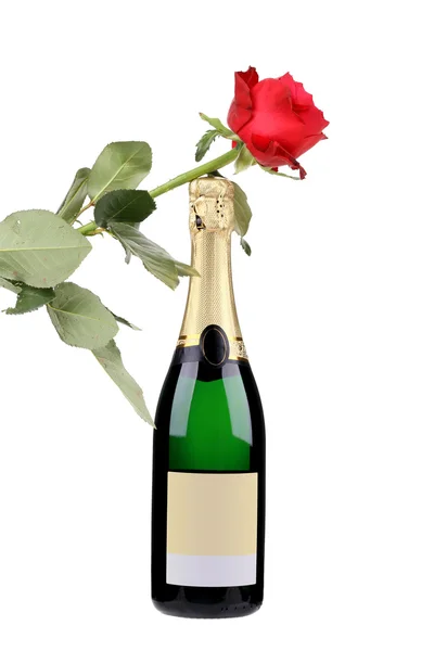 Bottiglia di champagne e rosa rossa . — Foto Stock