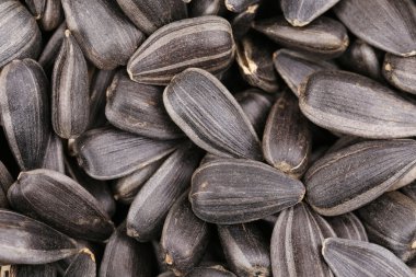 ayçiçeği tohumu.