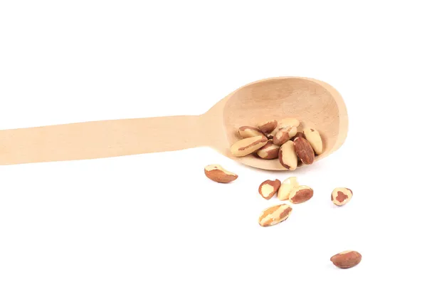 Brazil nuts in wooden spoon. — Stock Photo, Image