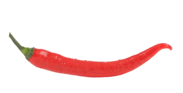 Čerstvé chilli pepper. — Stock fotografie