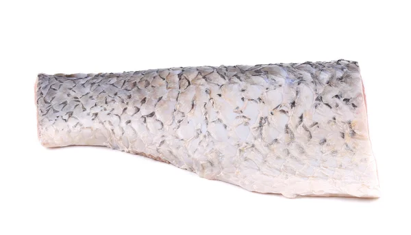 Fresh half mirror carp fillet. — Stock Photo, Image