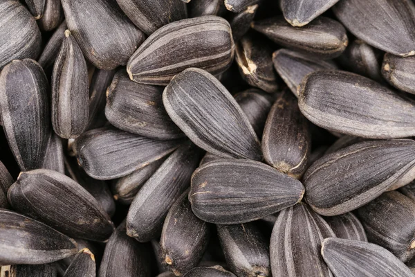 Sunflower seeds. — Stock Photo, Image