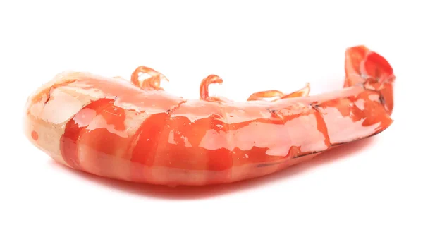 Beautiful boiled shrimps. — Stock Photo, Image