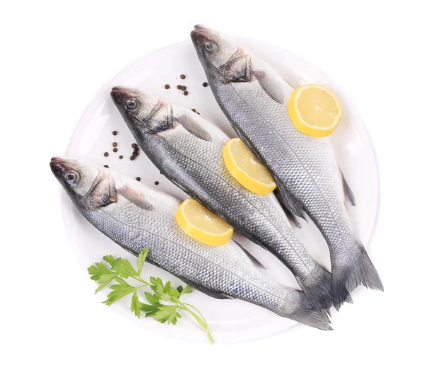 Three raw seabass on the plate. — Stock Photo, Image