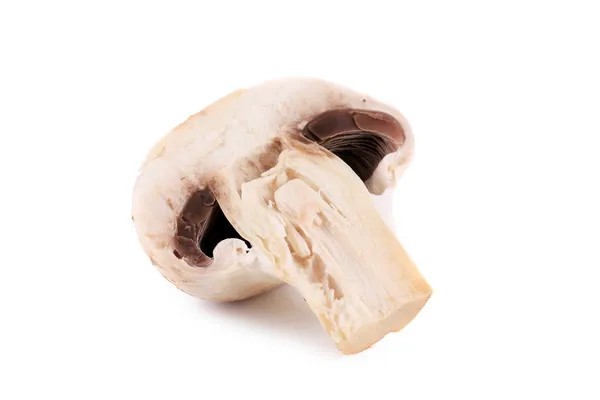 Halbierter weißer Champignon. — Stockfoto