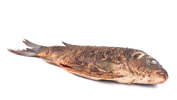 Grilled seabass. — Stock Photo, Image