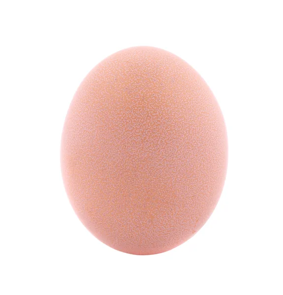 Tek kahverengi tavuk yumurta. — Stok fotoğraf