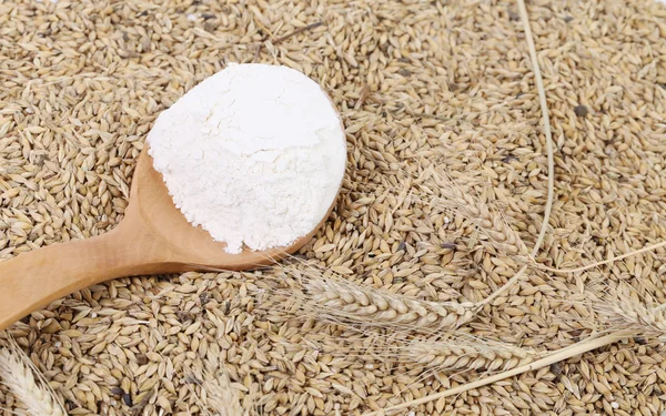 Ложка с мукой на пшенице . — стоковое фото