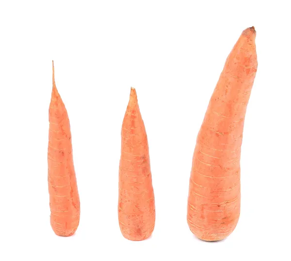 Unpeleed свіжої морквою . — стокове фото