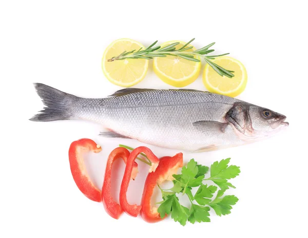 Fresh seabass with pepper and rosemary. — Stock Photo, Image
