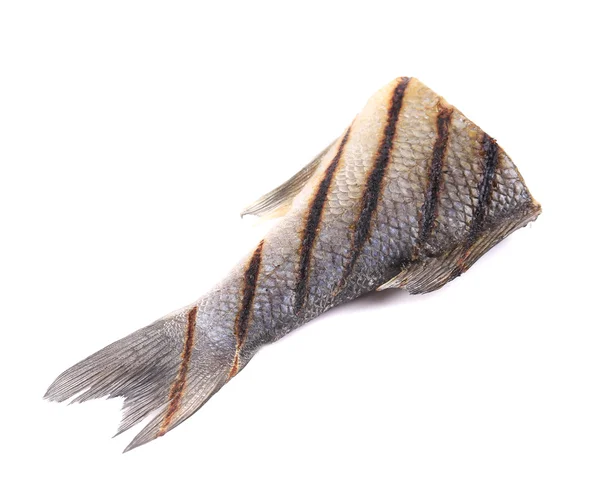 Fish tail. — Stock Photo, Image
