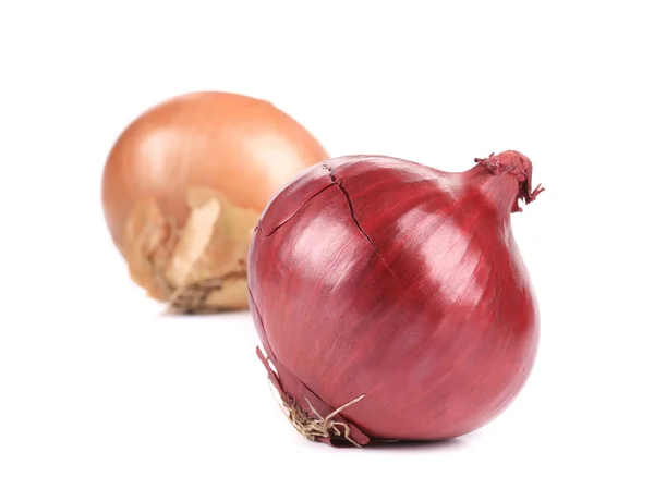 Ripe and red onions. — Stock Photo, Image