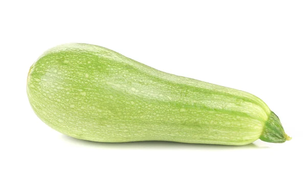 Verse groente beenmerg. — Stockfoto