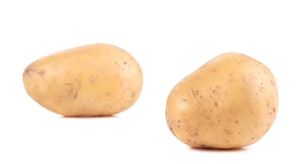 Rå potatis på vit bakgrund. — Stockfoto