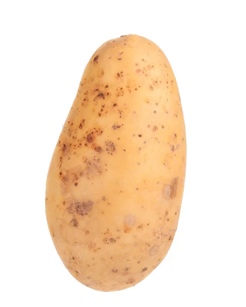 Rauwe aardappel op witte achtergrond. — Stockfoto