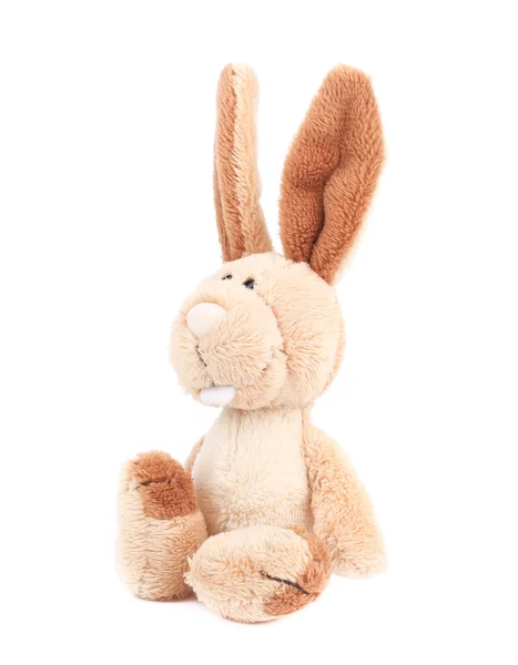Adorable generic stuffed bunny. — Stock Photo, Image