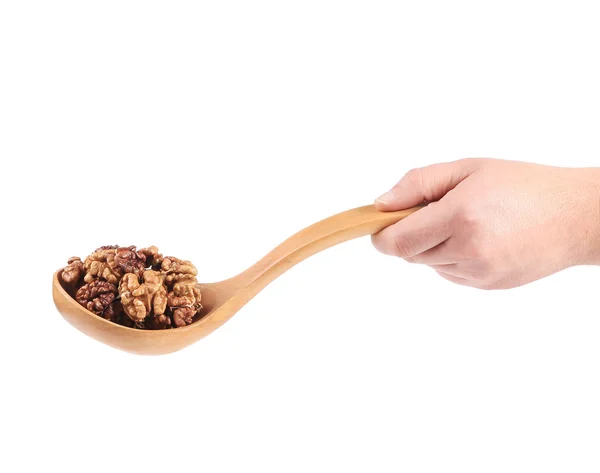 Cuchara de mano con nueces . — Foto de Stock