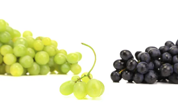 Uvas maduras . — Foto de Stock