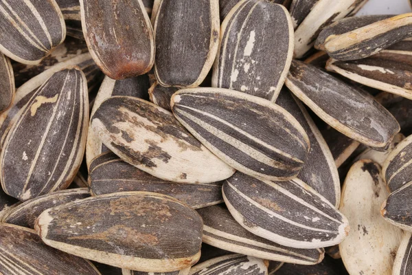 Sunflower seeds. — Stock Photo, Image