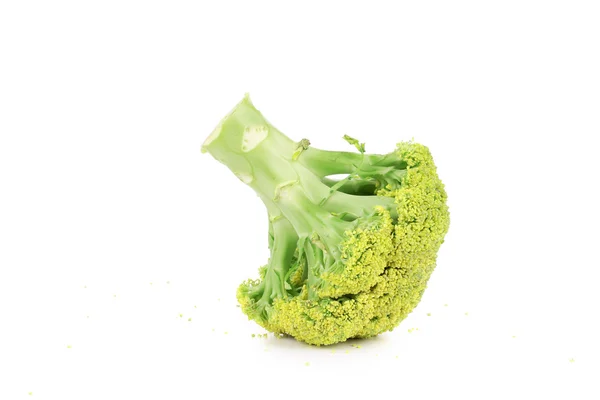 Raw broccoli. — Stock Photo, Image