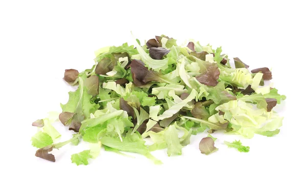 Salad mix. — Stock Photo, Image