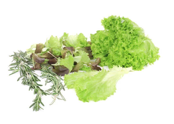 Salad mix and rosemary. — Stock Photo, Image