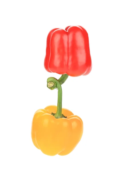 Two bell peppers. — Stock Photo, Image