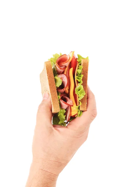 Hand hält leckeres Sandwich. — Stockfoto