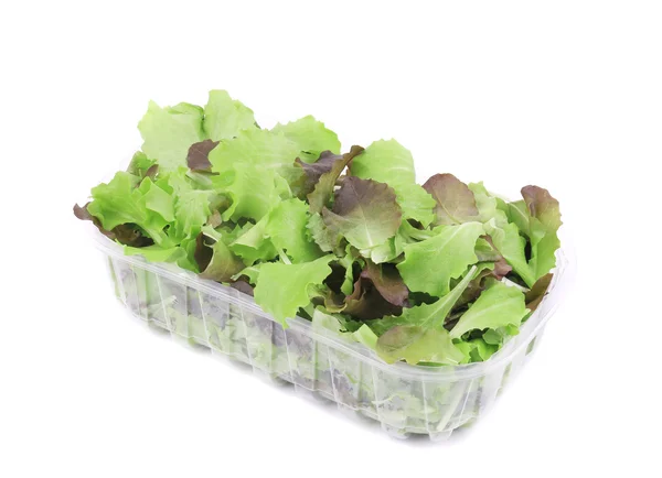 Salad mix in plastic box. — Stock Photo, Image