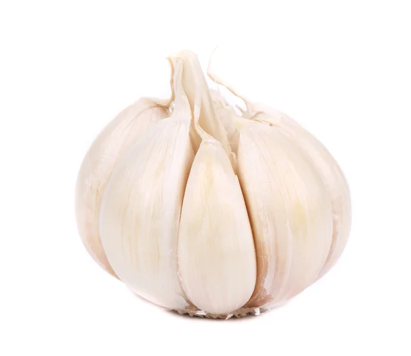 Garlic on a white. — Stock Photo, Image