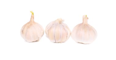 Üç sarımsak ampuller.