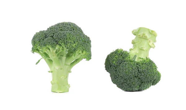 Twee verse broccoli. — Stockfoto