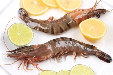 plaka üzerinde ham kaplan karides.