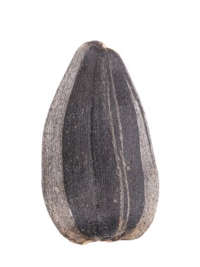 Ayçekirdeğini kapat..