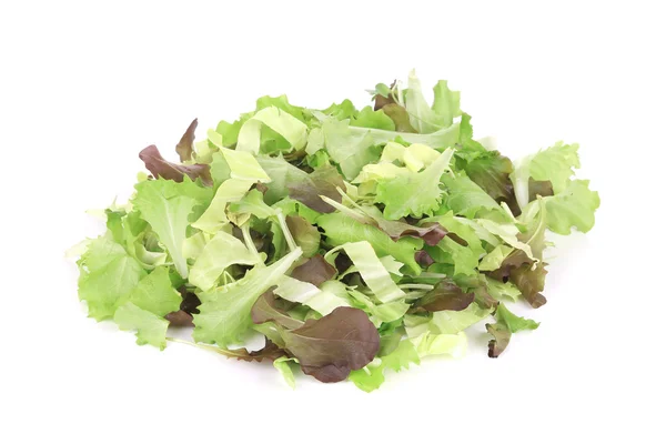 Mezclar ensalada . — Foto de Stock