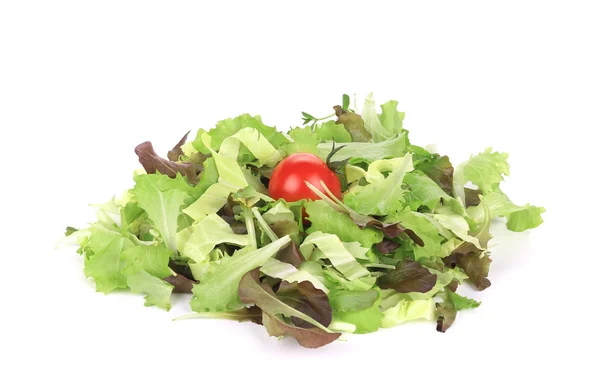 Смешайте салат с томатной вишней . — стоковое фото