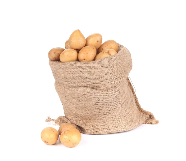 Batatas maduras em saco de serapilheira . — Fotografia de Stock