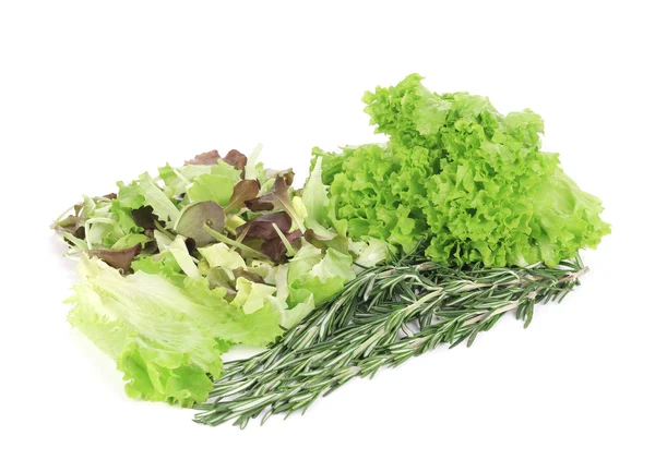 Mix salad with rosemary. — Stock Photo, Image