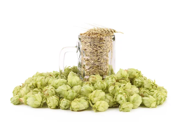 Glass full of barley and hops. — Stock Photo, Image