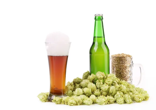 Zusammensetzung von Hopfen und Gerste. — Stockfoto