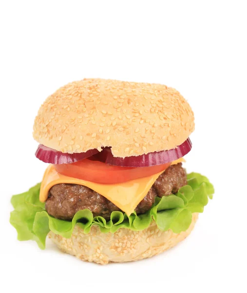 Sabrosa hamburguesa con queso . — Foto de Stock