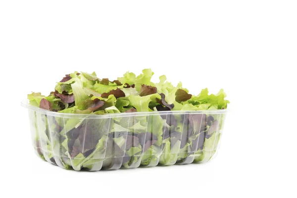 Čerstvý míchaný salát listy. — Stock fotografie